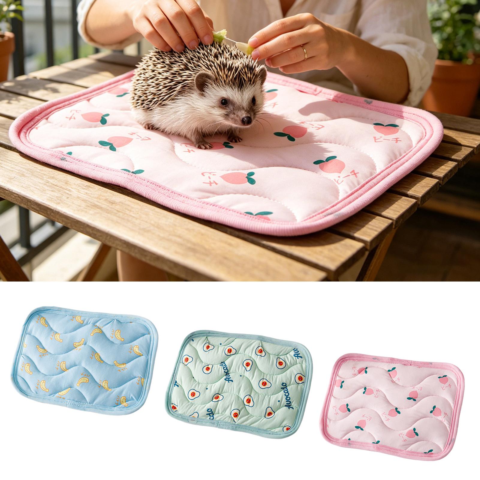 Waschbare Kühlmatte für Hausti – Outdoor Camping Dog Bed Bewertung und Preis