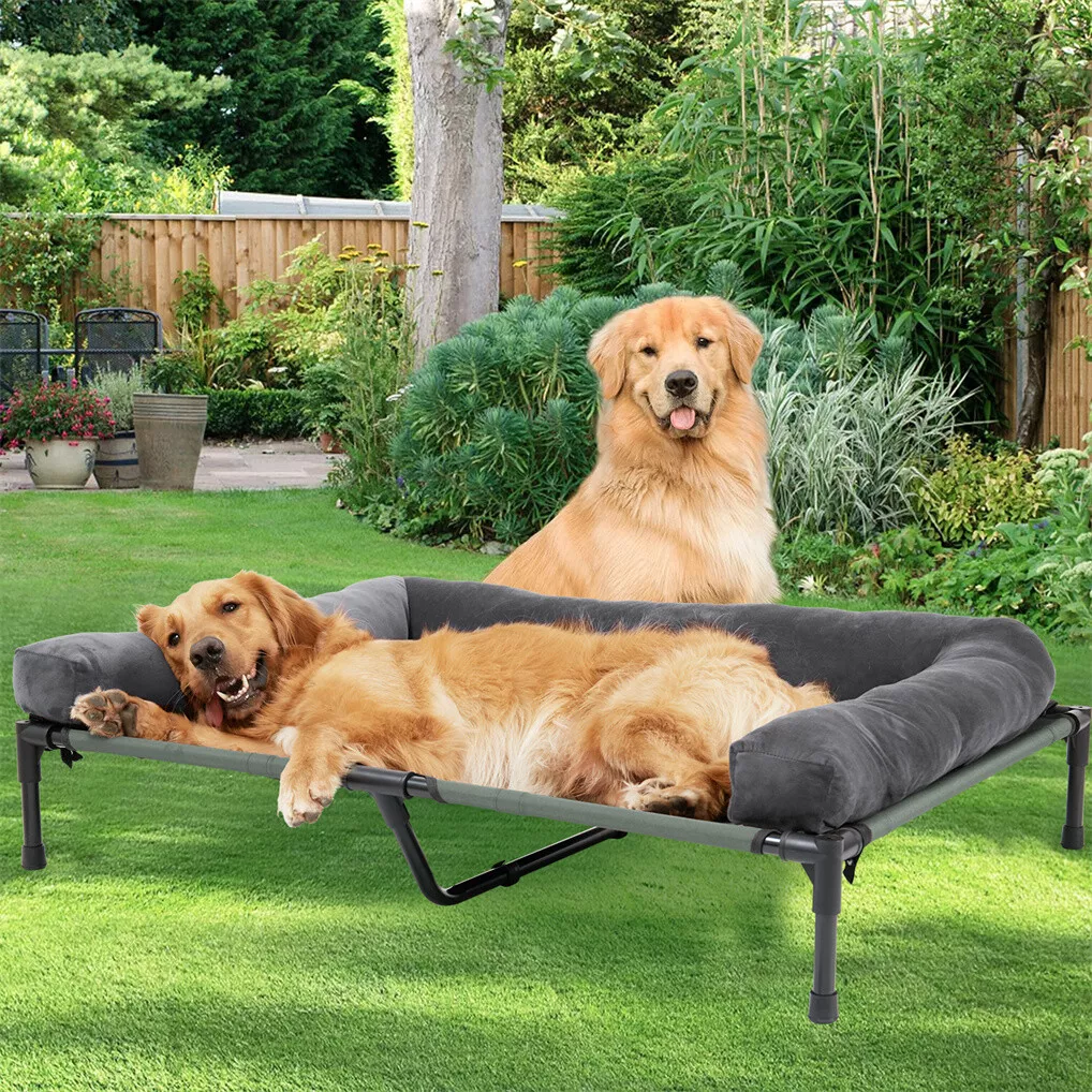 BINGOPAW Erhöhtes Hundebett, N – Outdoor Camping Dog Bed Bewertung und Preis