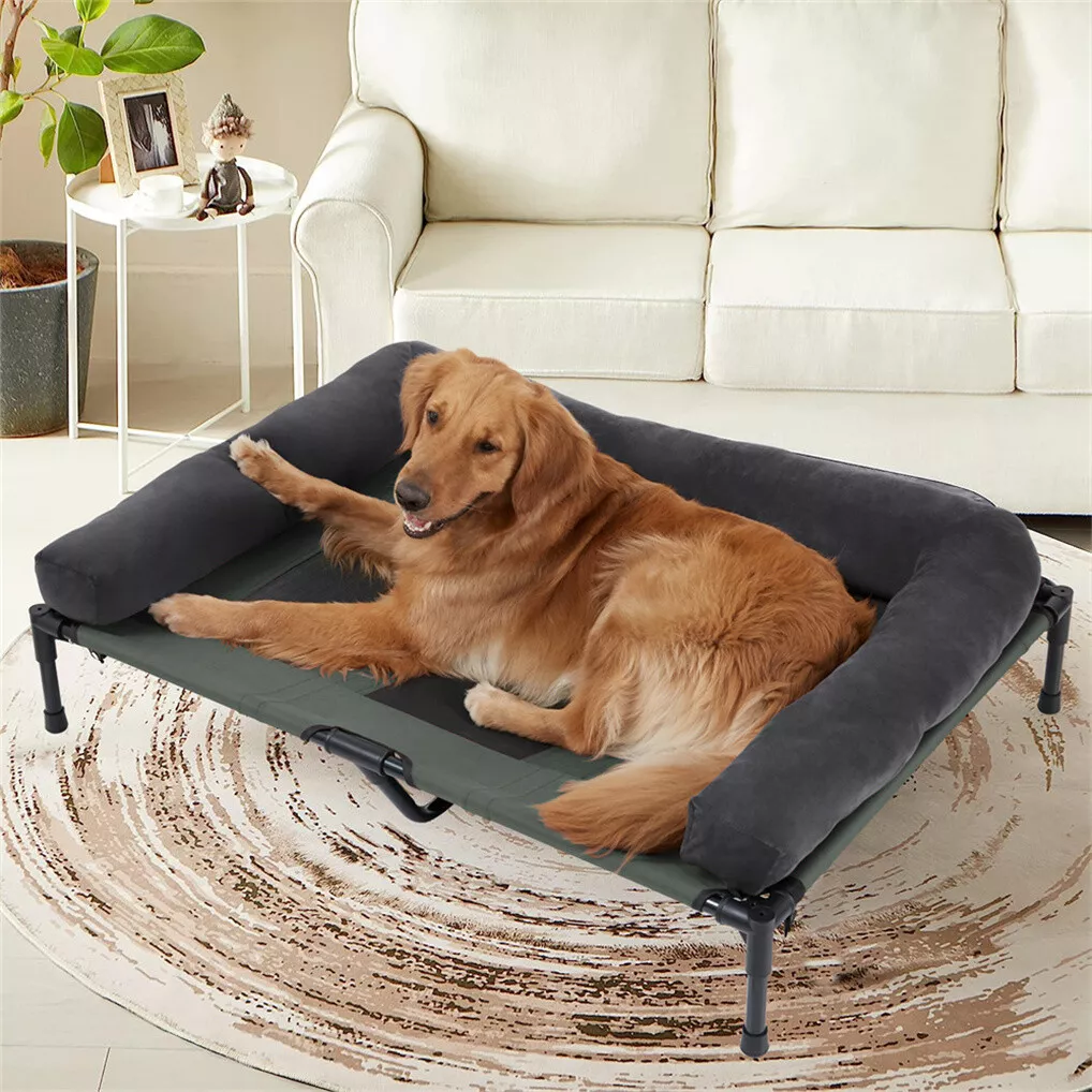 BINGOPAW Erhöhtes Hundebett, N – Outdoor Camping Dog Bed Bewertung und Preis