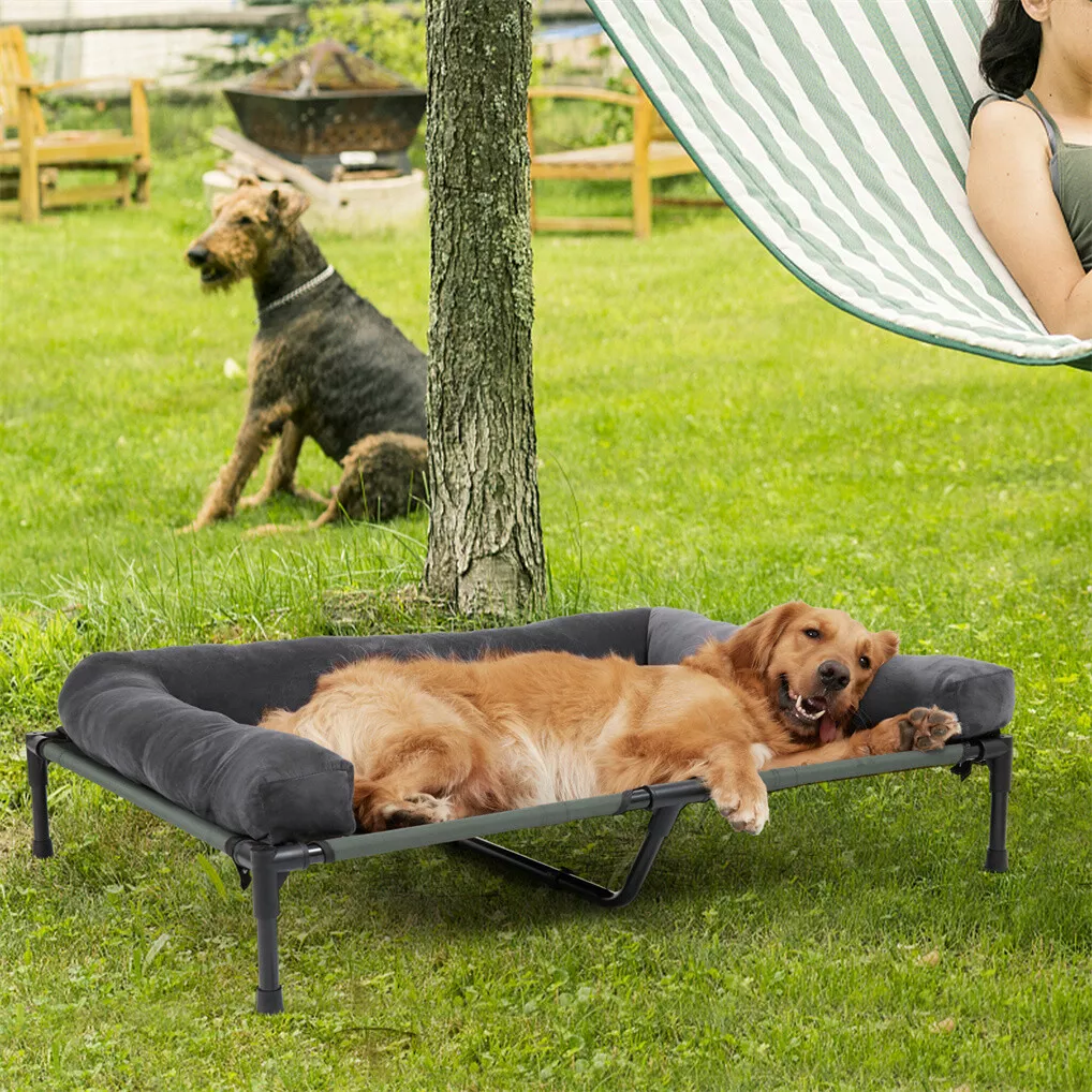 BINGOPAW Erhöhtes Hundebett, N – Outdoor Camping Dog Bed Bewertung und Preis