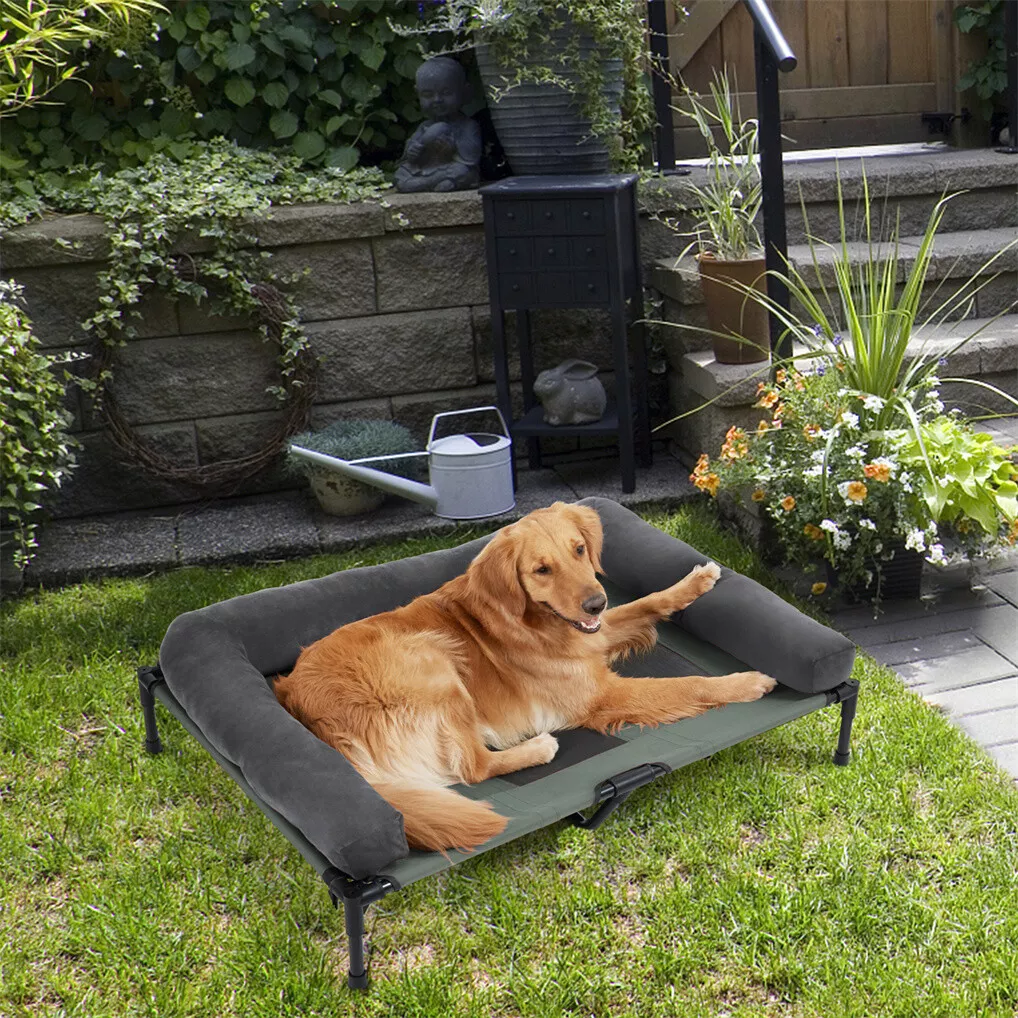 BINGOPAW Erhöhtes Hundebett, N – Outdoor Camping Dog Bed Bewertung und Preis